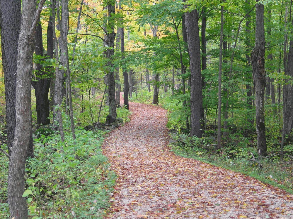 Cart path