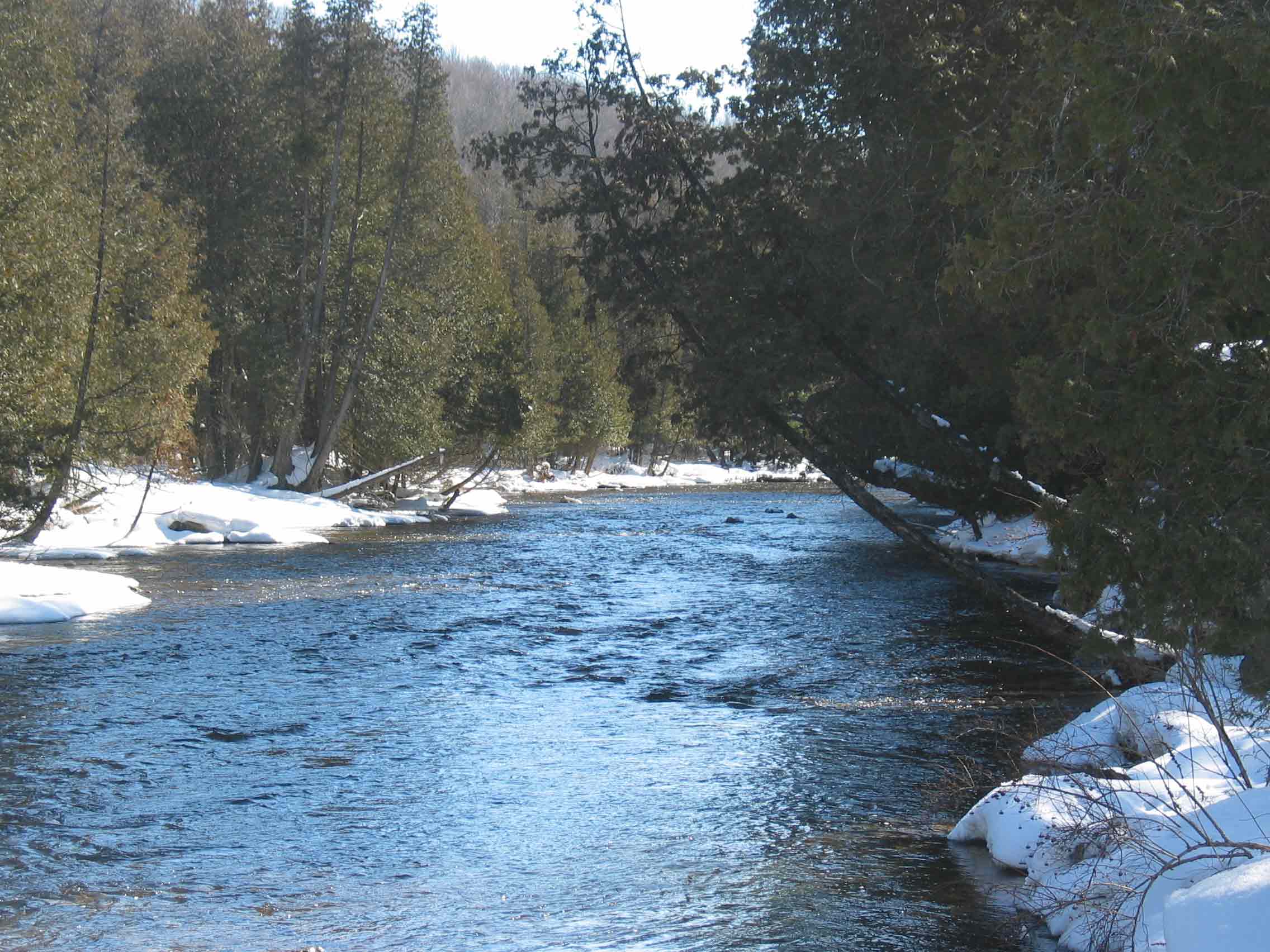 Rocky Saugeen River